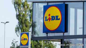 New Lidl 'stylish' £8 item similar to £150 John Lewis and Next options out Thursday