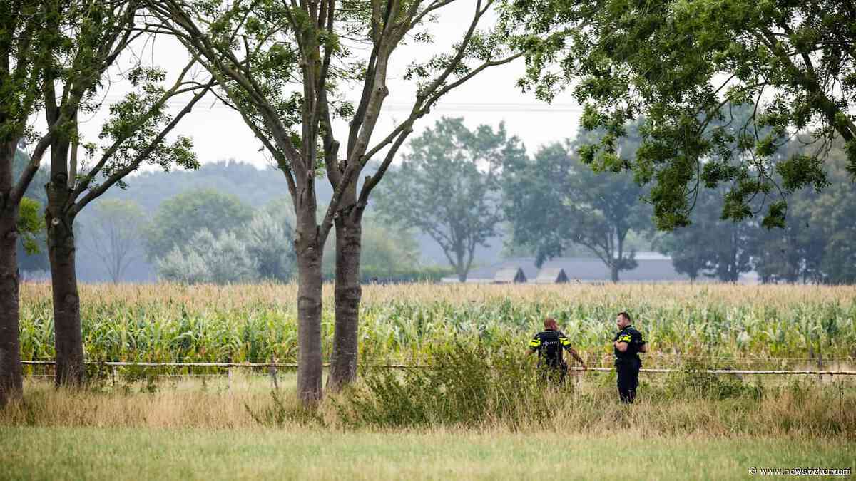 Politie 'hakselt' maisveld bij Overasselt om gebied beter te kunnen doorzoeken
