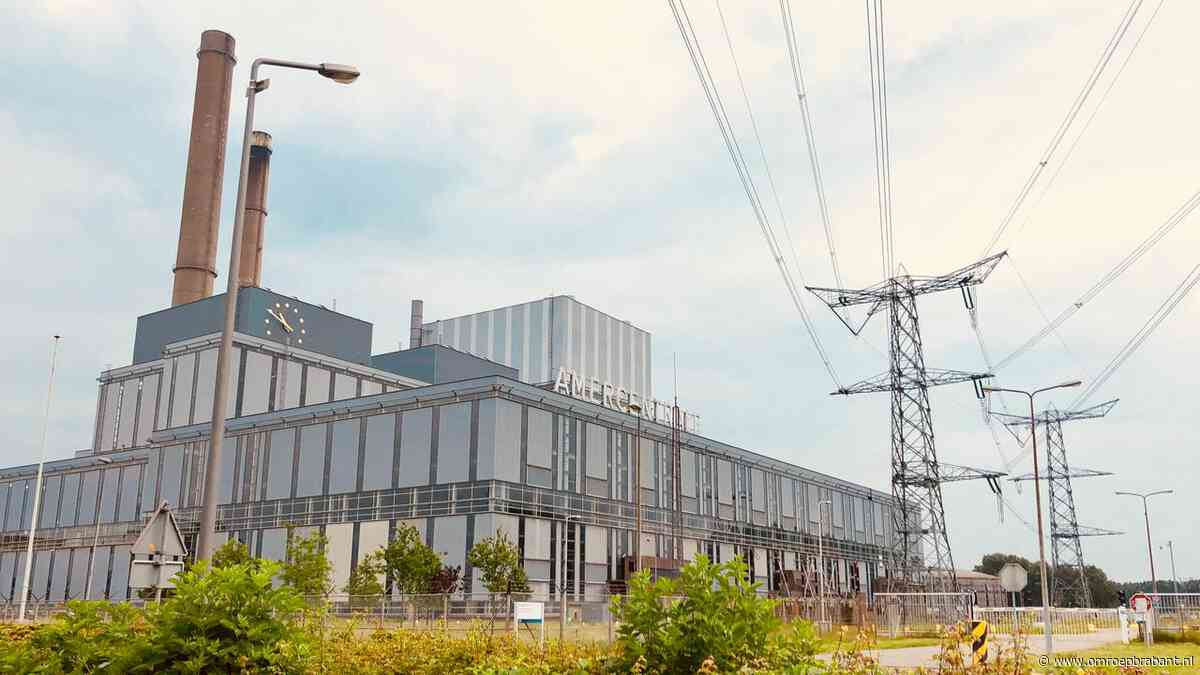 Amercentrale verbrandt 'duurzaam' hout, kap tast Maleisische bossen aan