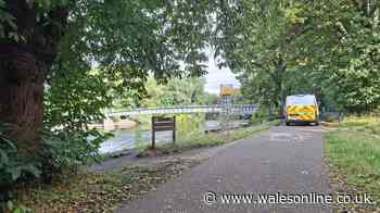 Police called to incident at Bute Park in Cardiff