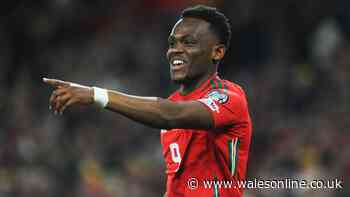 Brian Barry-Murphy makes Cardiff City free agent admission as Rabbi Matondo linked