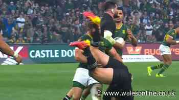 Springboks legend quotes Nigel Owens as he piles into accused All Blacks star