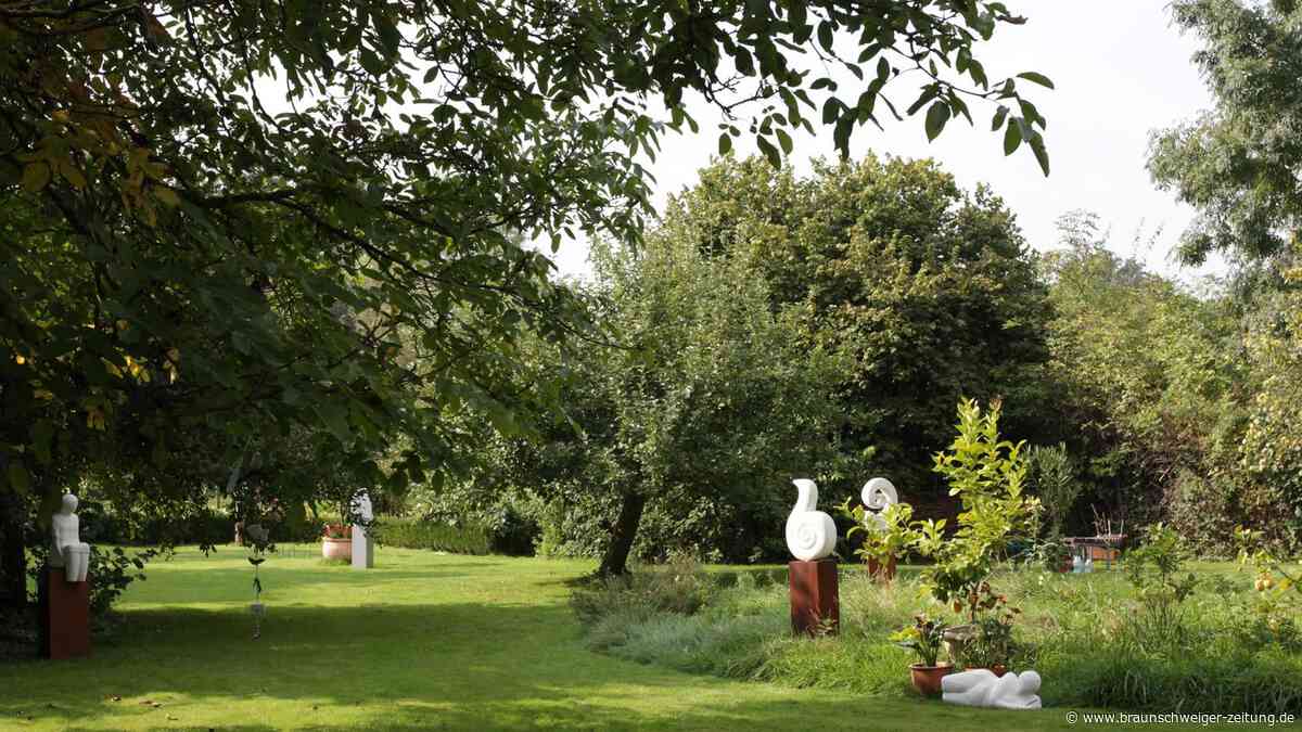Blätterrauschen und Blasmusik: Konzert mitten im Meerdorfer Holz