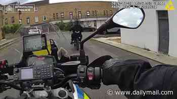Crackdown on the e-bike phone muggers terrorising London: Moment officers pursue thieves along pavements, through parks and down alleys as Met arrest 187 in capital-wide operation