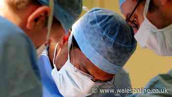Man from Swansea left in pain and struggling to move in six-year wait for operation