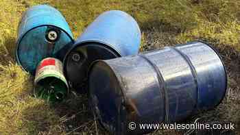 Seeping barrels of motor oil dumped on conservation area near Halkyn