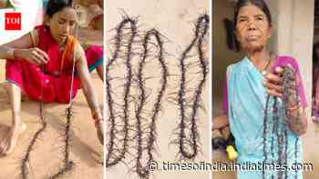 100 insect heads, ₹200: How MP’s ‘Mundmala’ is helping protect Sal forests