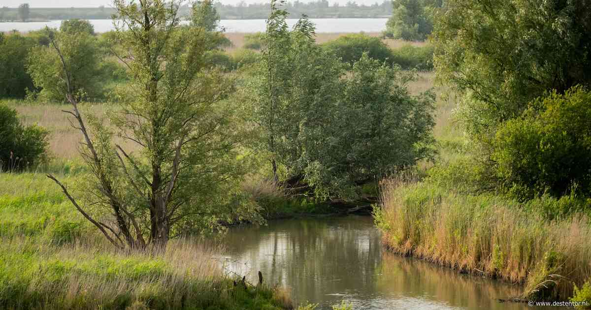 Nieuwe brug bij Lelystad verbindt stad met natuur, maar moet dat in de winter?