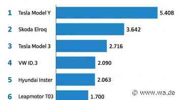Kleinwagen mischen die Bestsellerliste auf  – Grafik: E-Auto-Förderung