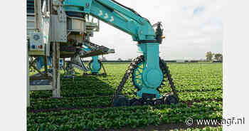 Robottechnologie komt dichter bij commerciële broccolioogst