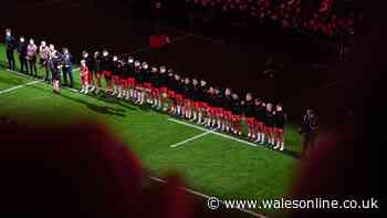 WRU consider return of axed national rugby team as chief reveals '100% priority'