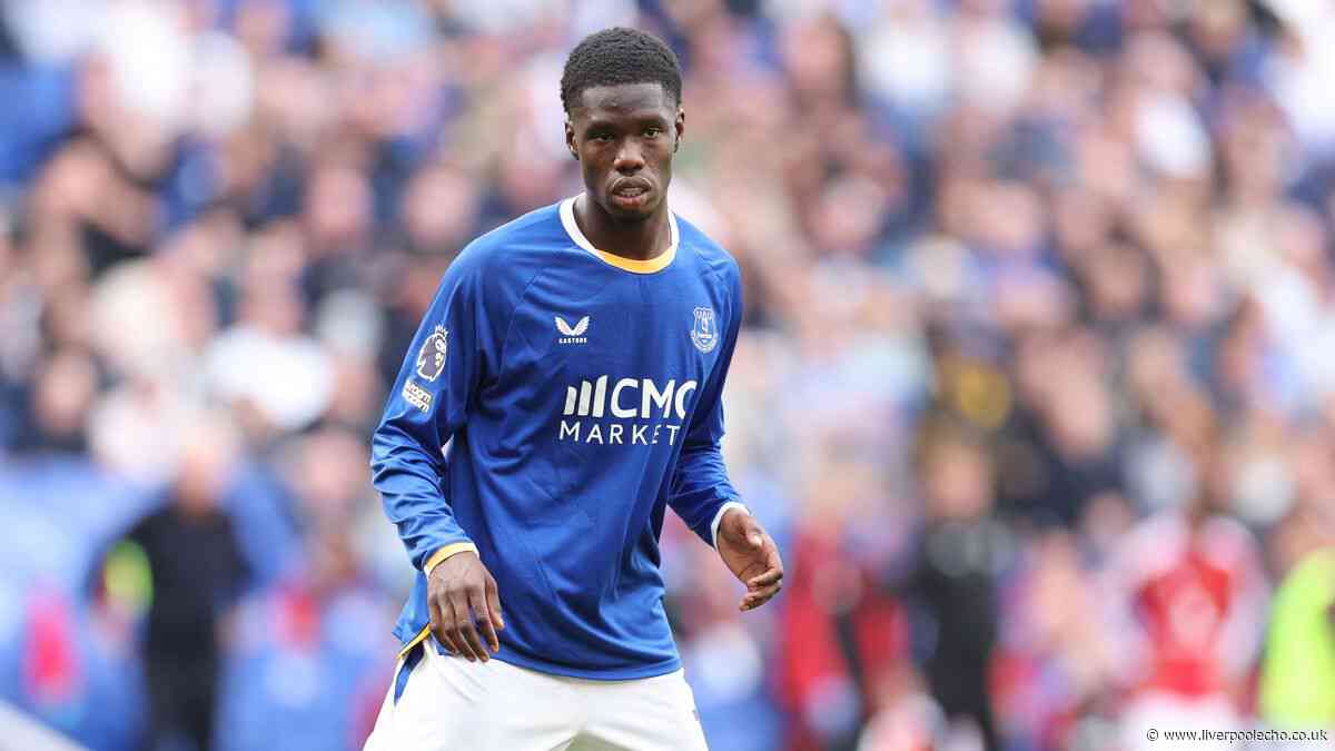 David Moyes has found 'special' Everton solution to Thierno Barry striker dilemma