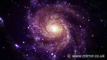 Space scientists discover 'mysterious objects' that could solve two cosmic mysteries