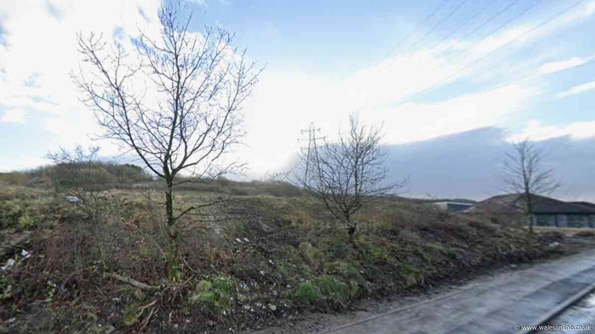 Self-storage site with 149 containers to be built on Bridgend land despite concerns