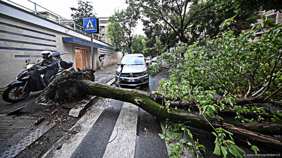 Temporali e raffiche di vento al centro-nord: alberi caduti e frane. Allagamenti in Toscana e Friuli Venezia-Giulia