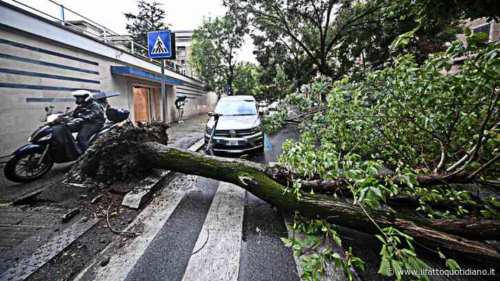Temporali e raffiche di vento al centro-nord: alberi caduti e frane. Allagamenti in Toscana e Friuli Venezia-Giulia