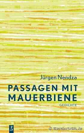 Traumwachheit als Ort poetischen Sprechens
