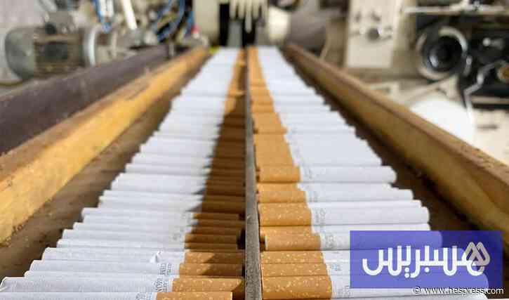 التبغ المغربي يتجه إلى السوق الأمريكية باستثمار 300 مليون درهم