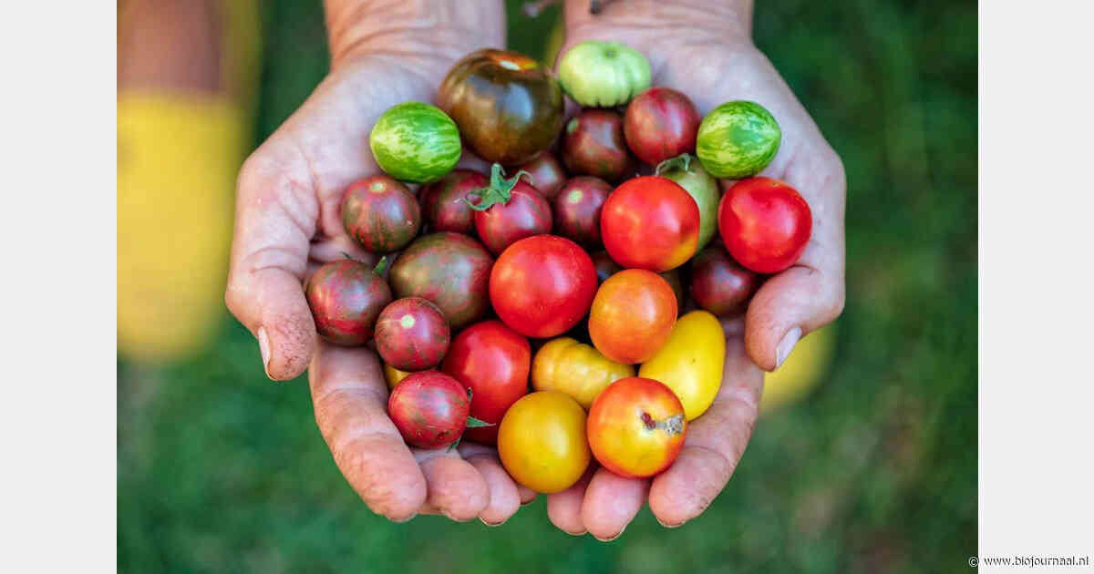 "Het verhaal dat biologische landbouw de wereld niet kan voeden, is een sprookje"