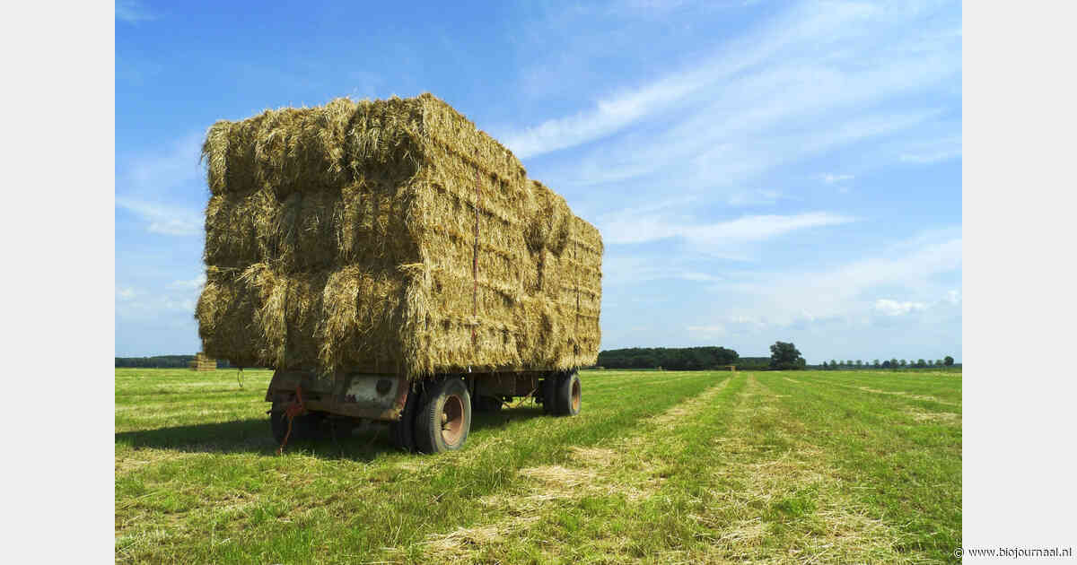 Duitse bio-groothandels betalen mee aan noodtransport Demeter-hooi