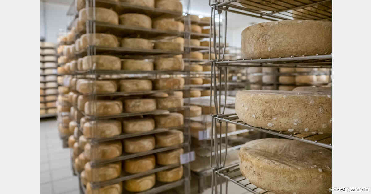 Listeria bij kaas vraagt ook in biologische productie om strikte hygiëne