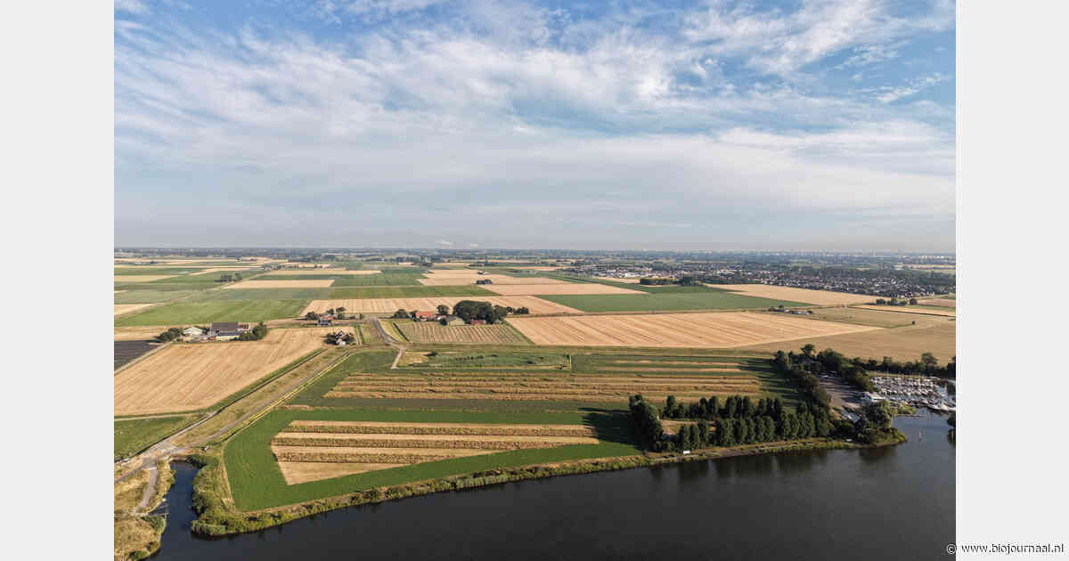 Biodivers Akker Mozaïek krijgt €4,5 miljoen voor landelijke opschaling