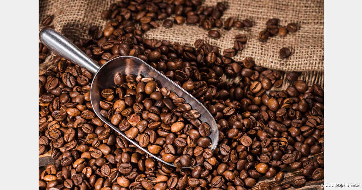 Fairtrade verhoogt minimumprijzen voor koffie vanaf december