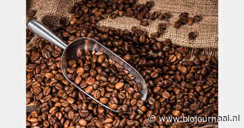 Fairtrade verhoogt minimumprijzen voor koffie vanaf december