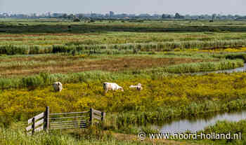Toekomstplan voor aanpak natuur, water en beheer in Oostzanerveld