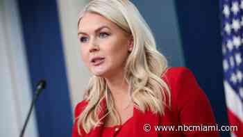 Judge recommends fine, reprimand for nurse who wished Karoline Leavitt difficult birth