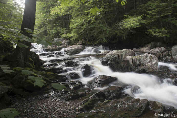 Thousands of acres conserved in Woodbury, where family plans to sustainably log for generations
