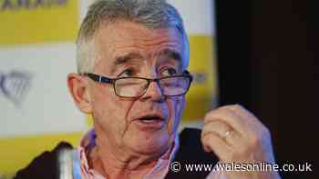 Ryanair boss to argue against claim injured passenger was 'sucked out of window' mid-flight