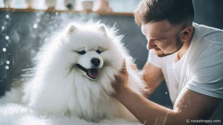 Petco (WOOF) Reported Adjusted EBITDA Growth but a $6.8M Tariff Refund Helped the Quarter. Is the Turnaround Self-Funding?