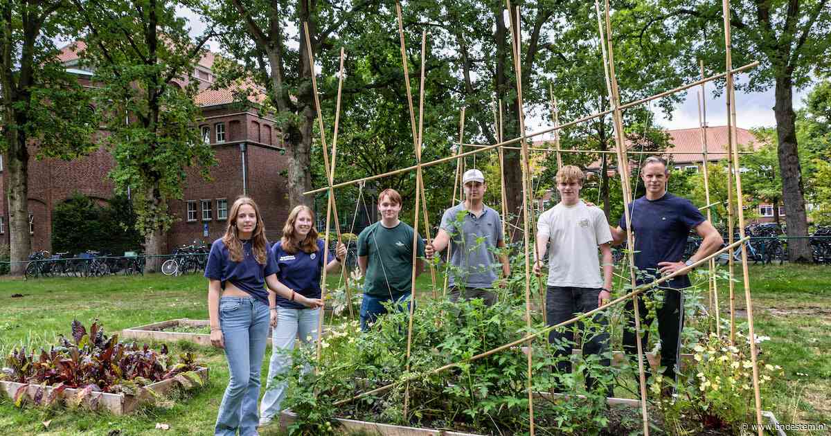 Leerlingen van Sint-Oelbert wipten 5000 tegels uit hun schoolplein
