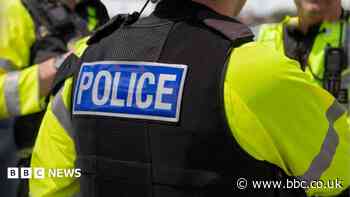 Prior police contact with attacked woman investigated