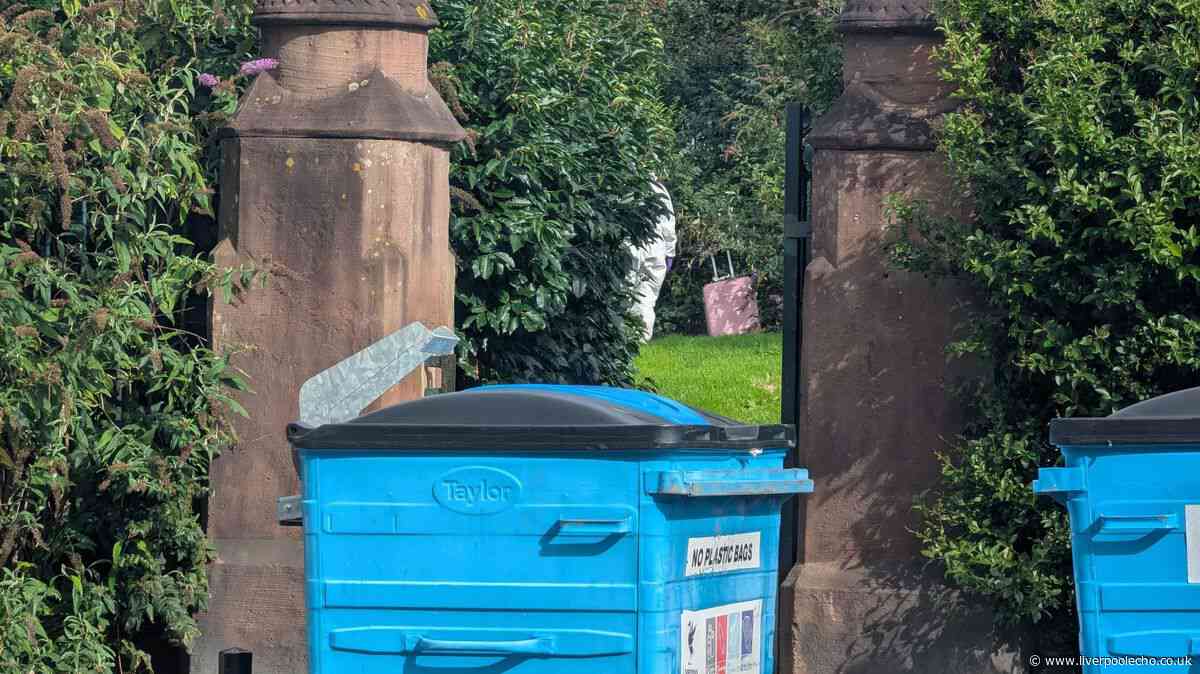 Pink suitcase spotted in Stanley Park as murder of woman investigation continues