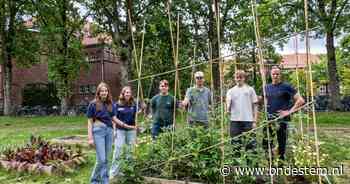 Leerlingen van Sint-Oelbert wipten vijfduizend tegels uit hun schoolplein