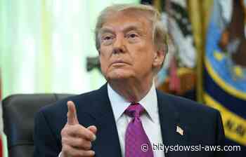 Alemania pospone llamada entre Merz y Trump tras elogios al partido derechista AfD