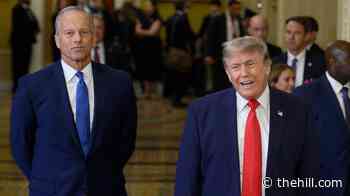 Trump on convention crowd booing Thune: 'No, no. John is working hard'