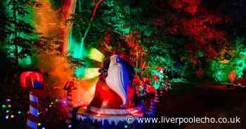 First ever UK run of Nightmare Before Christmas light trail set for Cheshire