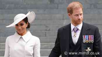 Prince Harry and Meghan Markle ‘need to be associated with the Royal Family’ for their own success