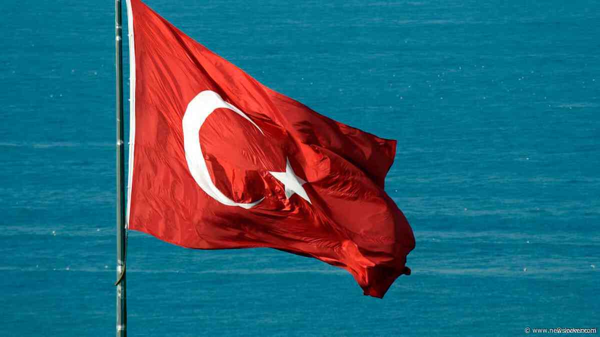 Turkse politie arresteert Brit voor spugen op nationale vlag