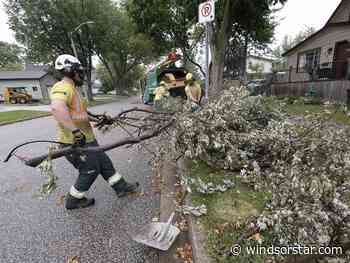 Windsor storms, tornado trigger 1,000-plus requests to city forestry crews