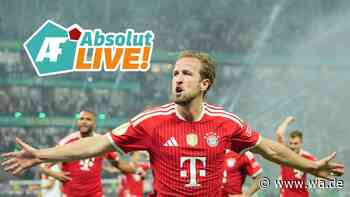 Champions League bei Absolut LIVE! Sind die Bayern titelreif?