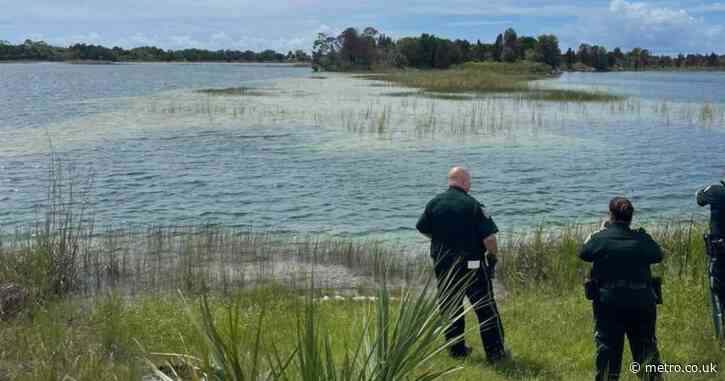 Child attacked by alligator after going into ‘no-swim zone’
