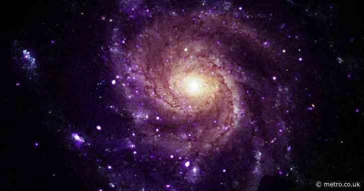 ‘Mysterious objects’ discovered in space – and they’re like nothing scientists have seen