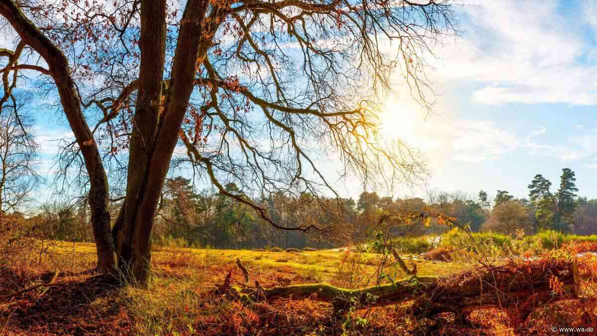 Farbenfrohe Wanderung im zweitgrößten Naturschutzgebiet in Nordrhein-Westfalen