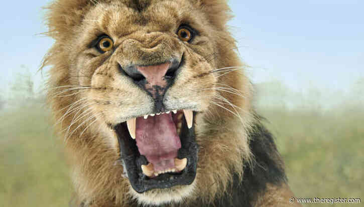 Nscale swallows lion's share of UK datacenter investment