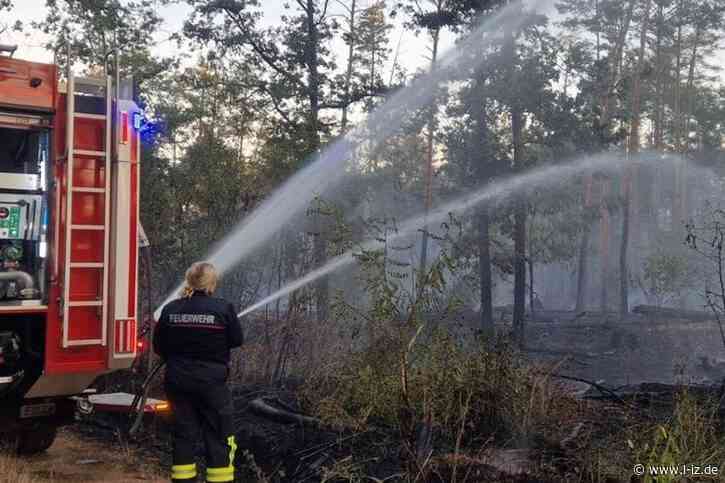 Waldbrandübung im Colditzer Forst