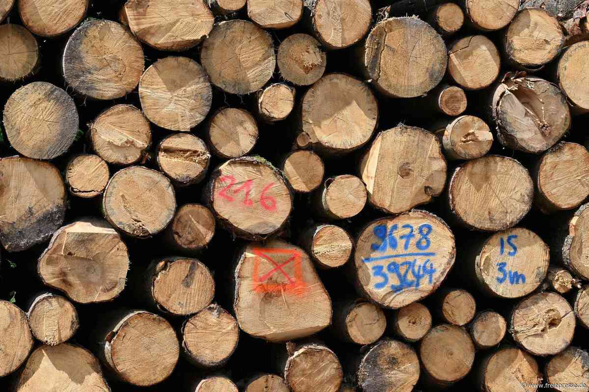 Wanderwege gesperrt: Baumfällungen im Wald zwischen Eppendorf und Leubsdorf